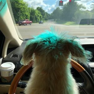 Meet your Posher, Charles